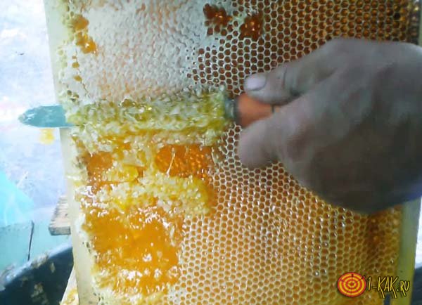 Натуральный мед из сот с воском