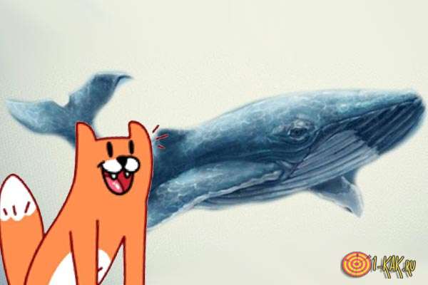 Мем с синим китом