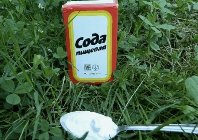 Необычные способы применения соды
